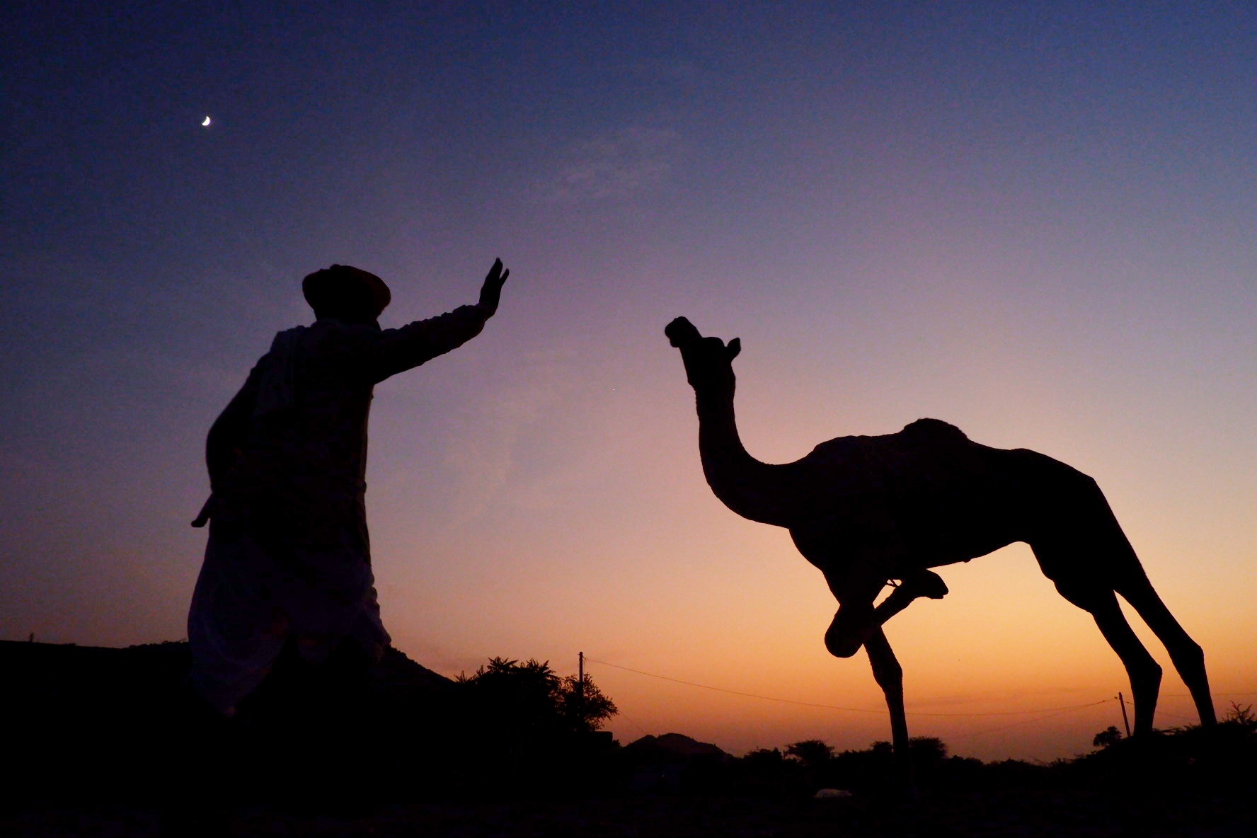 Life in Pushkar photograph 8